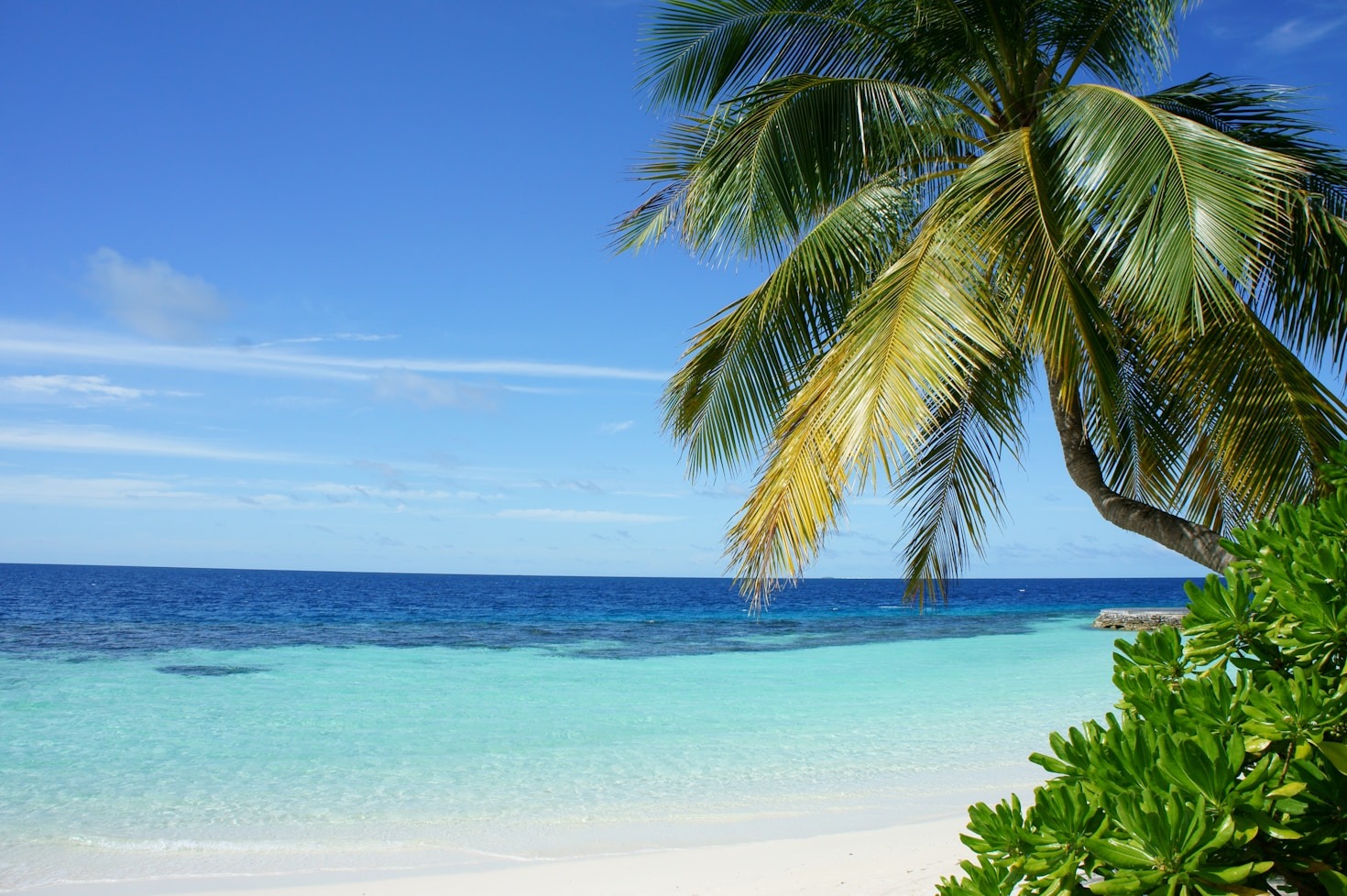 Top Attractions to See in the Maldives