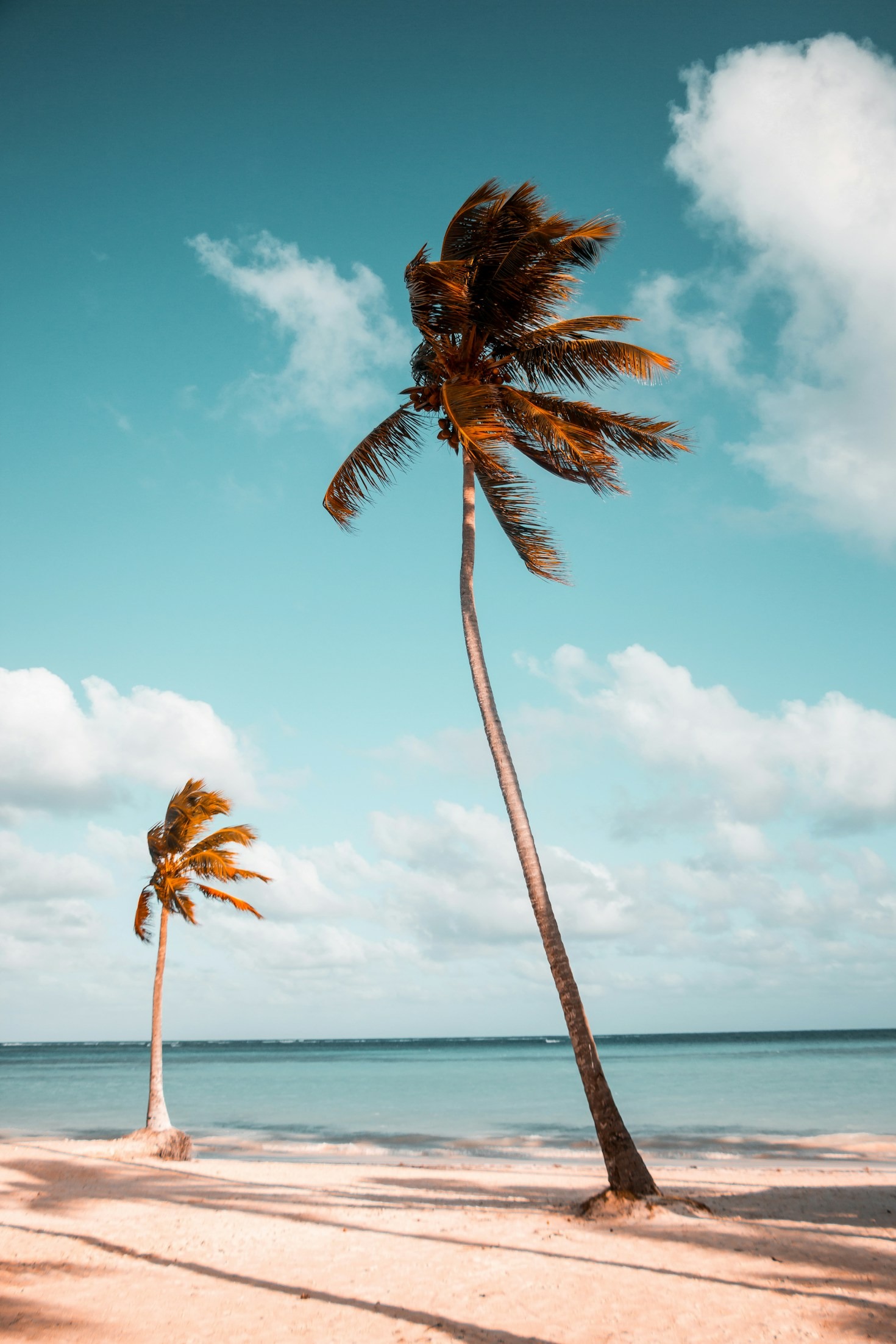Maldives Cuisine: A Taste of Paradise